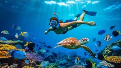 Caribbean snorkeling